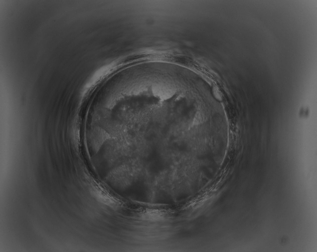 X0000095670149200801151111