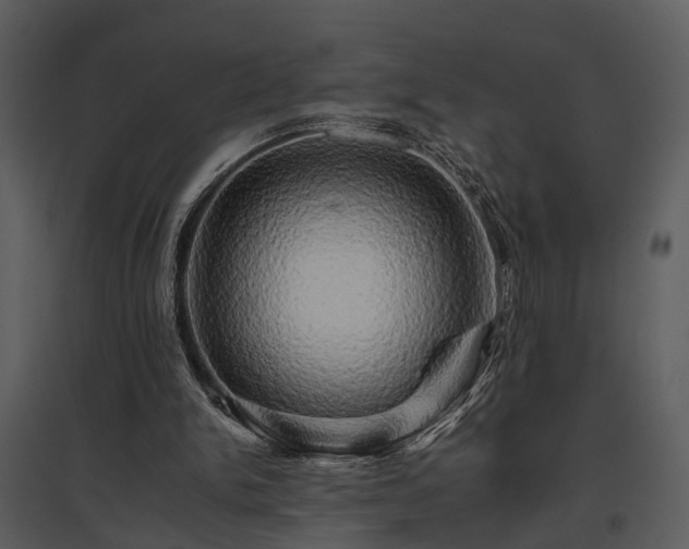 X0000095670150200801151111