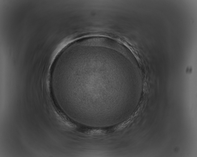 X0000095670152200801151111