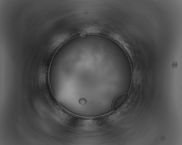 X0000095670153200801151111