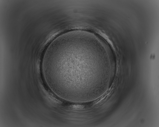 X0000095670154200801151111