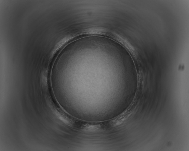 X0000095670155200801151111