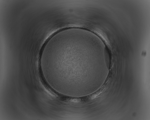 X0000095670156200801151111