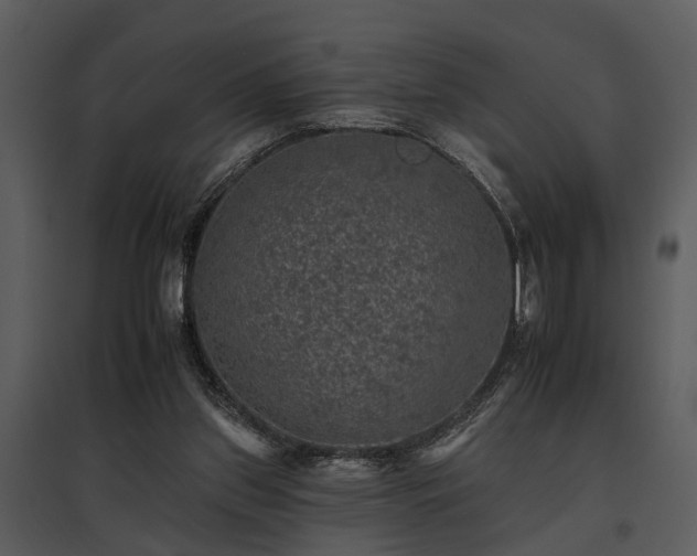 X0000095670157200801151111