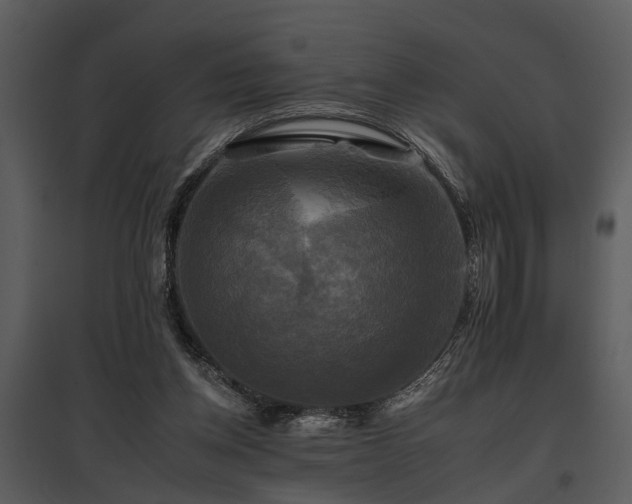 X0000095670158200801151111