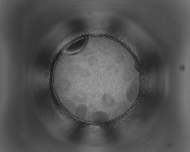 X0000095670159200801151111