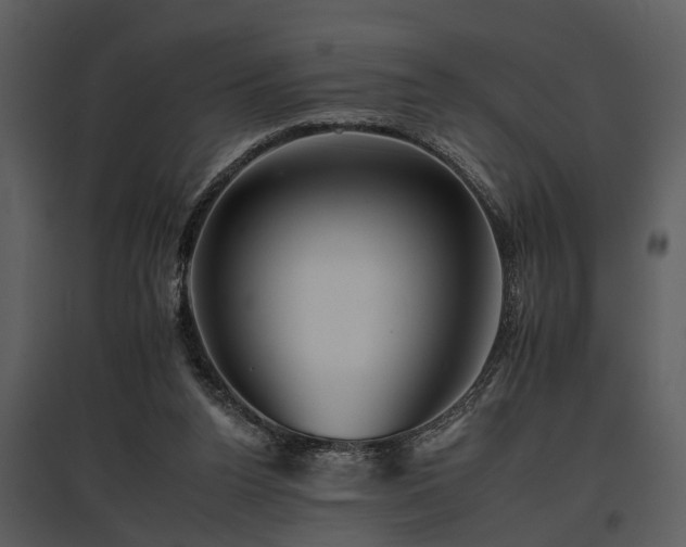 X0000095670160200801151111