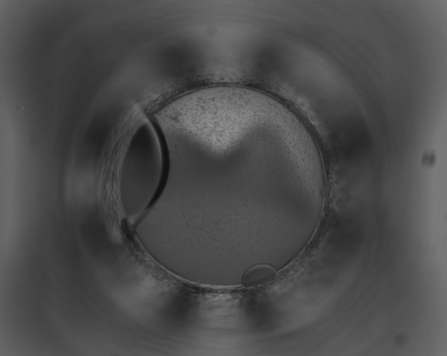 X0000095670161200801151111