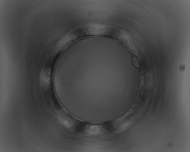 X0000095670163200801151111