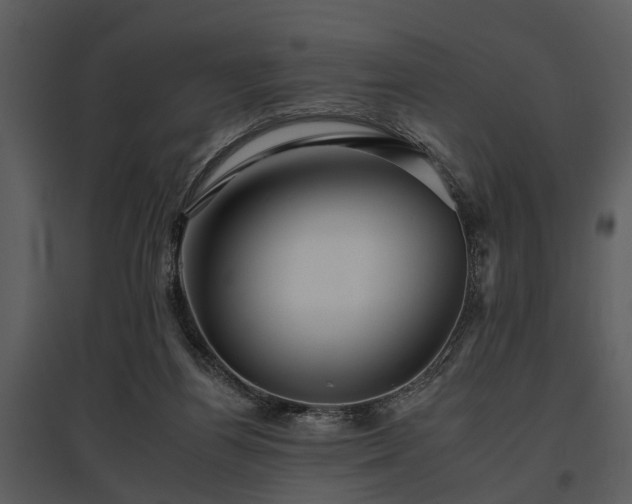 X0000095670164200801151111