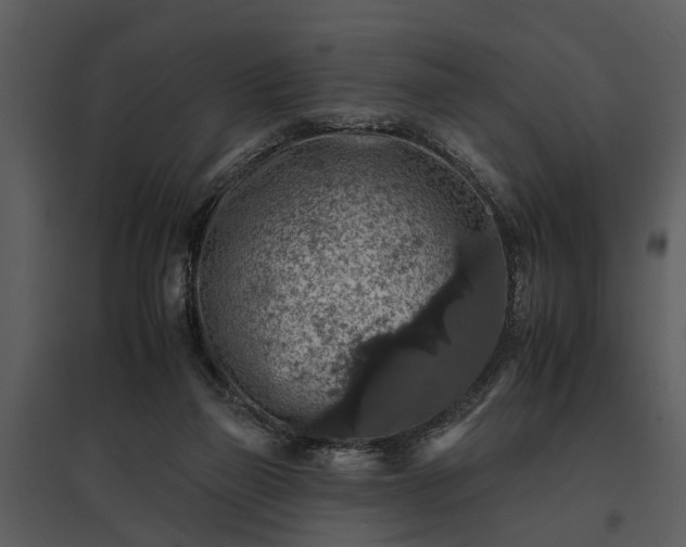 X0000095670165200801151111