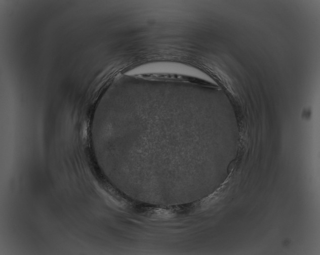 X0000095670166200801151111