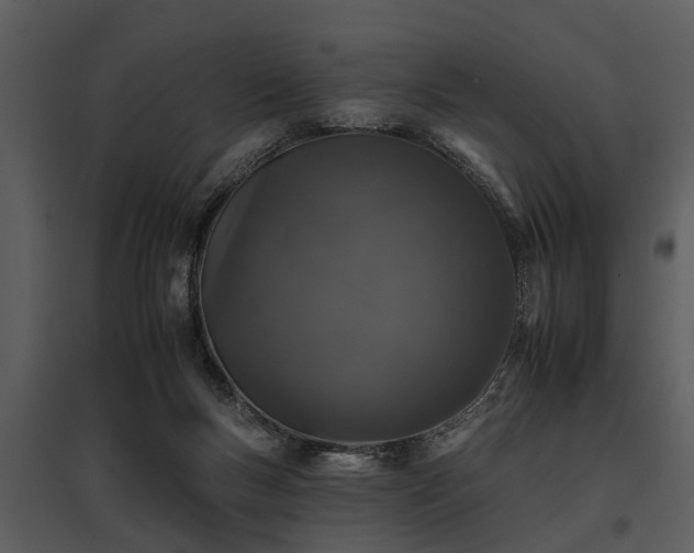 X0000095670167200801151112