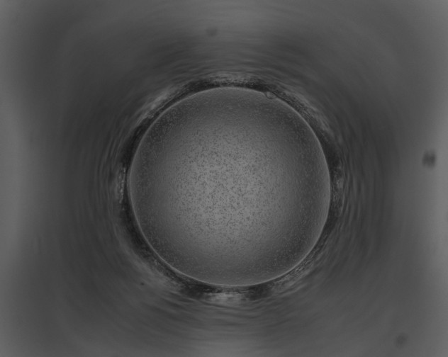 X0000095670168200801151112