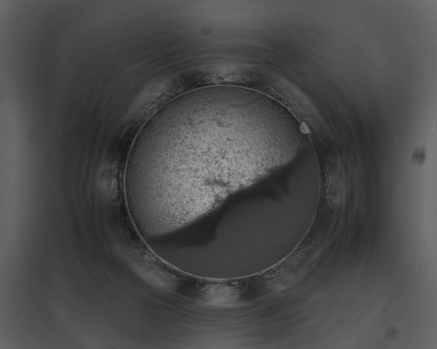 X0000095670169200801151112