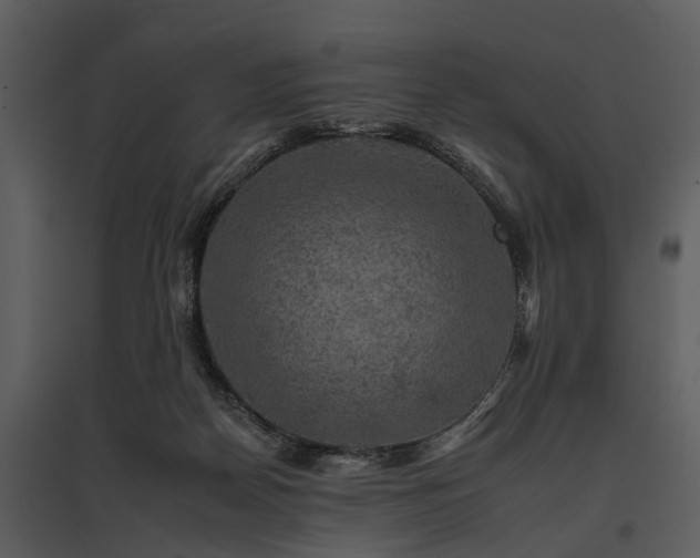 X0000095670170200801151112