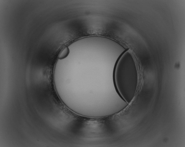 X0000095670171200801151112