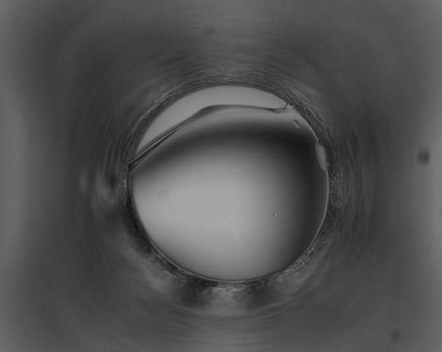 X0000095670172200801151112