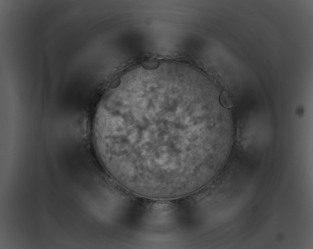 X0000095670173200801151112