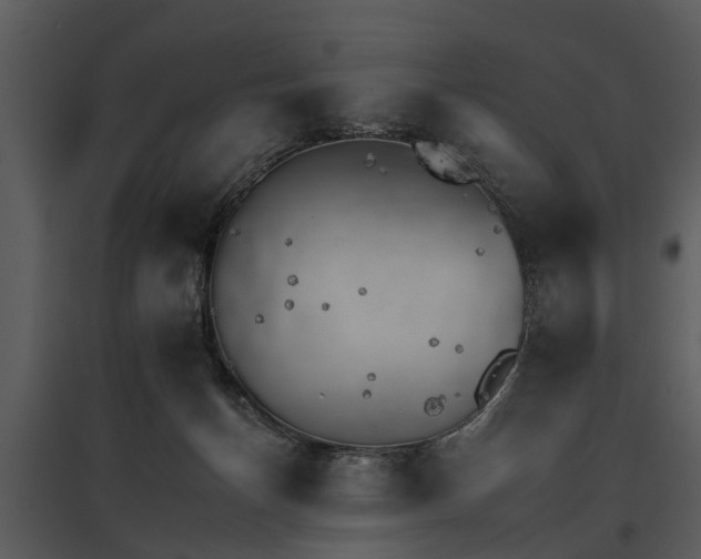 X0000095670174200801151112