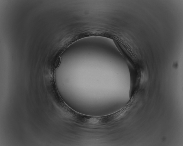 X0000095670176200801151112