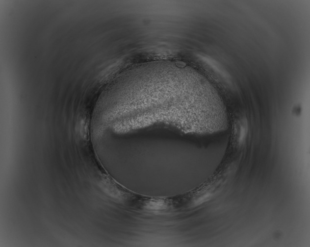 X0000095670177200801151112