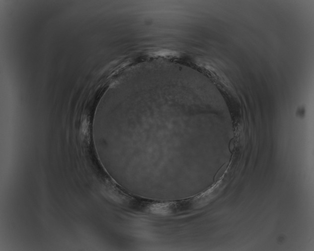 X0000095670178200801151112