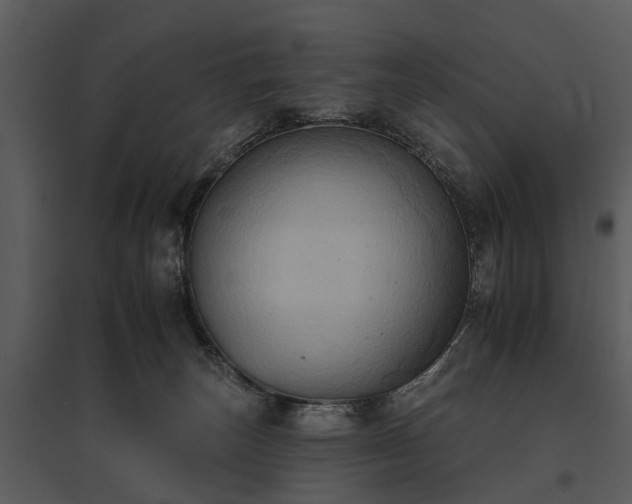 X0000095670179200801151112