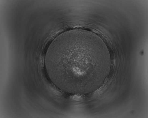 X0000095670180200801151112