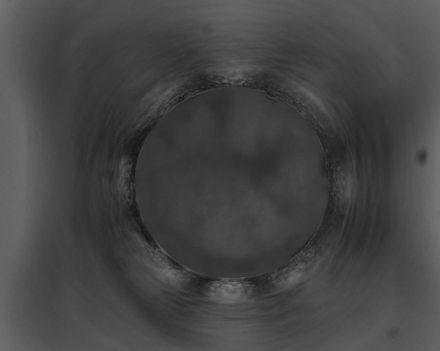 X0000095670181200801151112