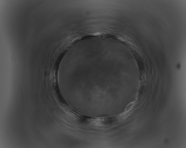 X0000095670182200801151112