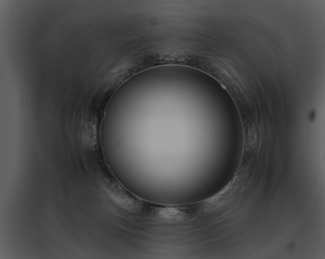 X0000095670183200801151112