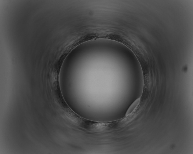 X0000095670184200801151112