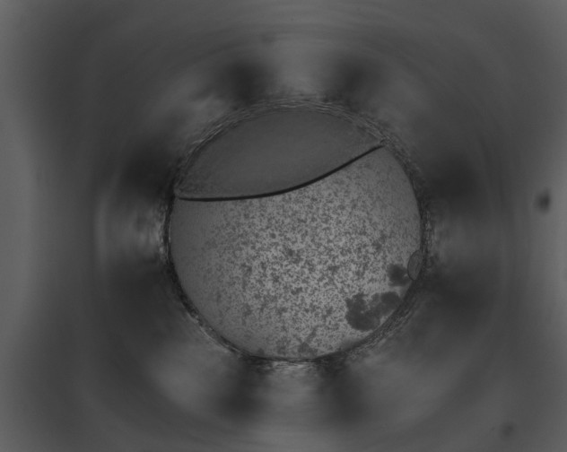 X0000095670185200801151112