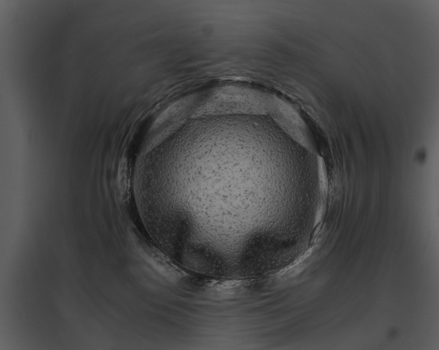 X0000095670186200801151112