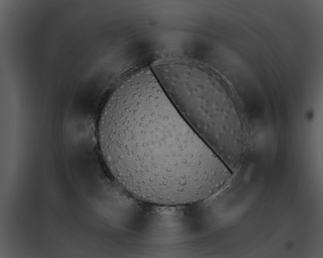 X0000095670187200801151112