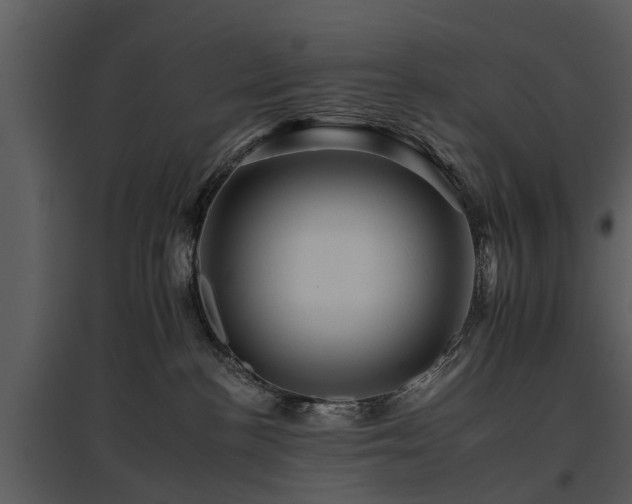 X0000095670188200801151112