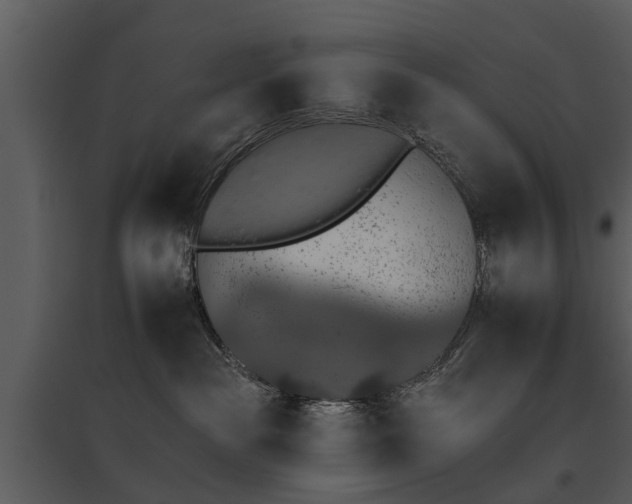 X0000095670189200801151112