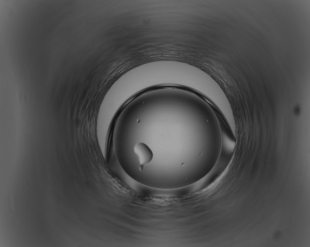 X0000095670190200801151112