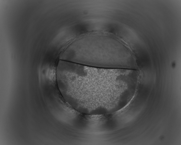 X0000095670191200801151112