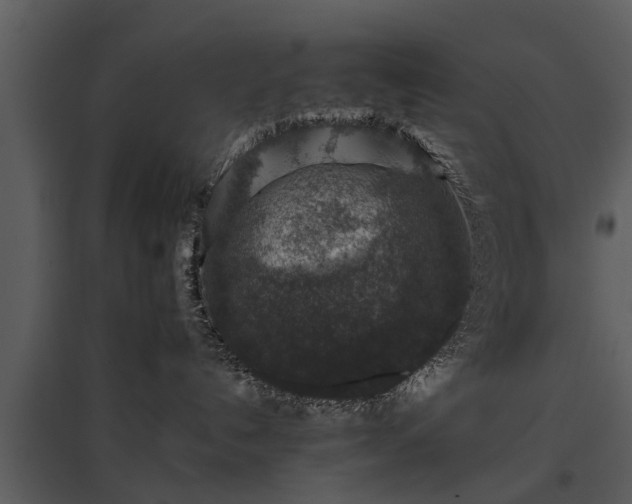 X0000095670192200801151112