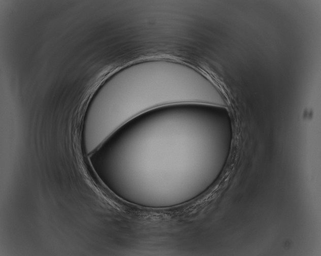 X0000095670193200801151111