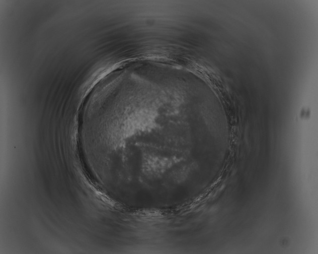 X0000095670194200801151111