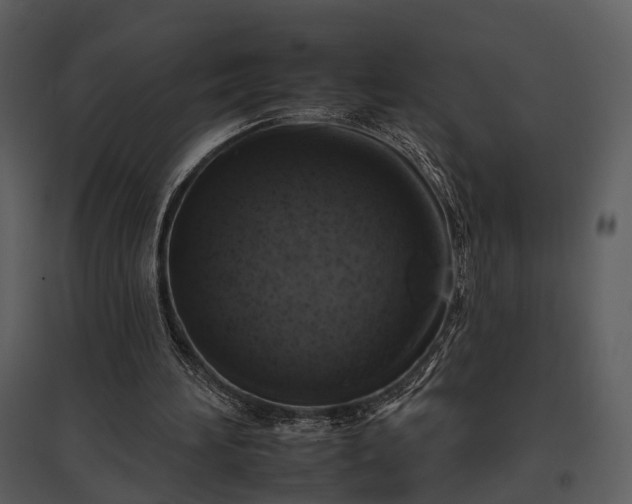 X0000095670196200801151111