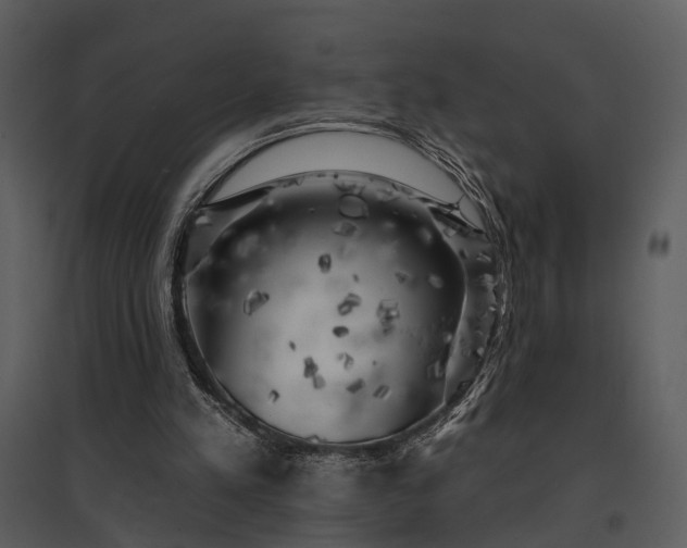 X0000095670197200801151111