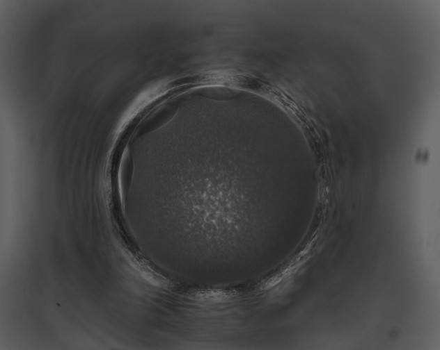 X0000095670198200801151111