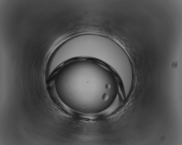 X0000095670199200801151111