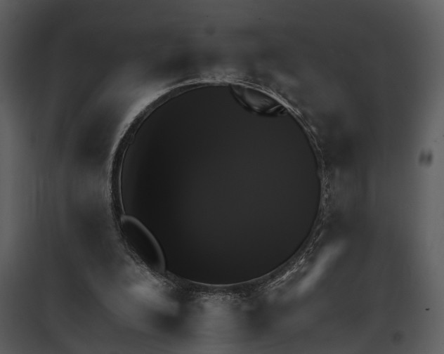 X0000095670200200801151111