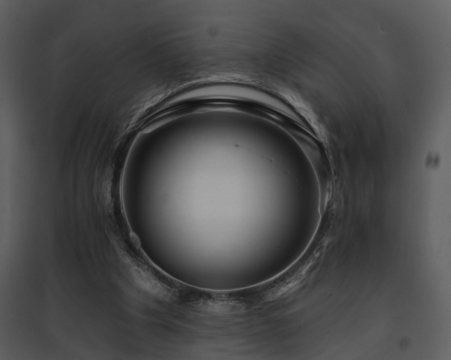 X0000095670201200801151111