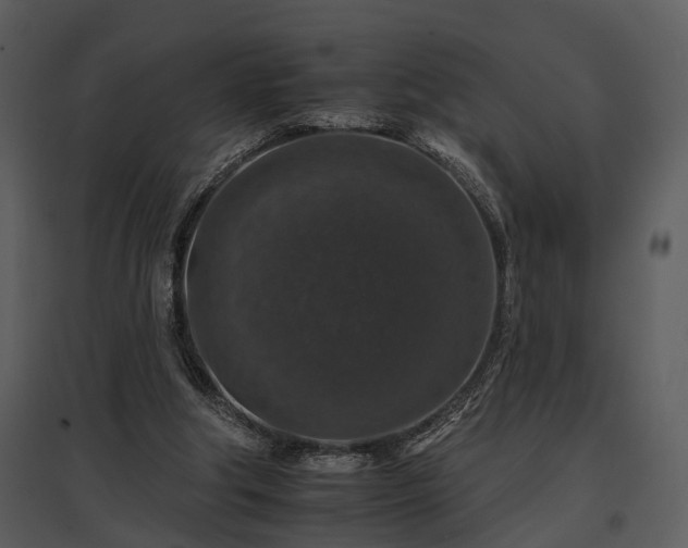 X0000095670202200801151111